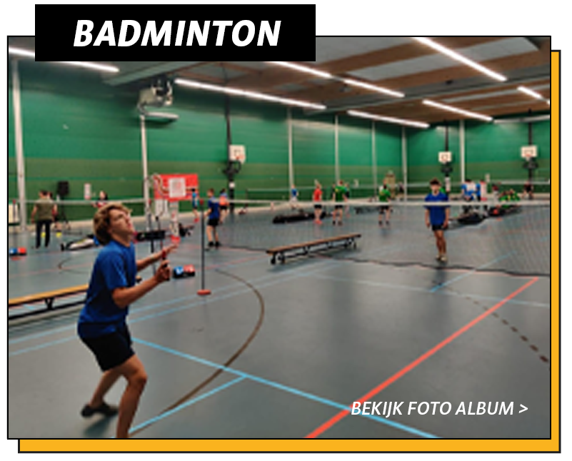 Badminton-1.png